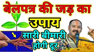 बेलपत्र की जड़ का उपाय  viral 2023 youtubevideo belpatra upay pandit shiv shivpuran [upl. by Vharat]