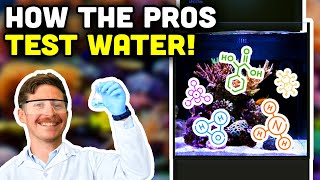 How We Test our Water Parameters Essential Tips for a STABLE Reef [upl. by Kubis783]