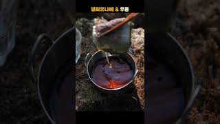 겹겹이 쌓여 있는 소고기 🥩🔥 찬바람 불때는 밀푀유나베 🍲🥬  캠핑한끼 소고기 밀푀유나베 우동 [upl. by Knowling487]