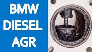 BMW 5er F10 Probleme DIESEL Krankheiten E60 Erfahrungen [upl. by Solis303]