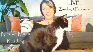 LIVE  Nieuwe Maan in Waterman  Tarot Reading [upl. by Nywra]