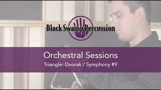 BSP Orchestral Sessions Triangle  Dvorak Symphony 9 Mvt III [upl. by Ayatal]