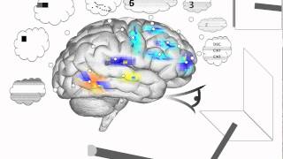 Spaun  Several cognitive and non cognitive tasks with decoding [upl. by Oivalf]