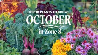 Top 10 Plants to Grow in October for a Thriving Zone 8 Garden [upl. by Narag]