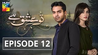 Tu Ishq Hai Episode 12 HUM TV Drama 3 January 2018 [upl. by Avat681]