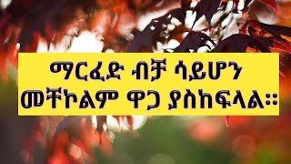 ሰበር ዜና ኢስራኤል ቢሩት ሊባኖስላይ ባደረሰችው የአየር ጥቃት ምክንያት የሂዝቦላ መሪ ተገደሉ መረጃ video ethioforumኢትዮፎረም [upl. by Idnem]