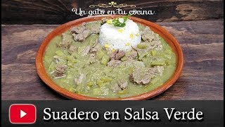 Suadero en Salsa Verde [upl. by Alracal]