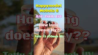 【Drones】How long does it fly丨Happymodel Mobula 6 with JESC 48kHz ESC丨Tinywhoop丨香港FPV丨穿越機 [upl. by Ebby]