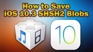 How to Save iOS 1032  1031  103 SHSH2 Blobs for Future iOS Downgrades [upl. by Aivekahs954]