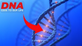 DNA The Blueprint of Life Revealed What is DNA dna rna protein [upl. by Nyllek]