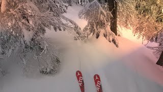 GoPro Forest Powder Freeskiing  Poiana Brasov [upl. by Charin916]