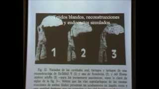 Voz Neandertal 19  ¿Rango Vocálico Reducido  Prof Manuel Lafarga [upl. by Joane]