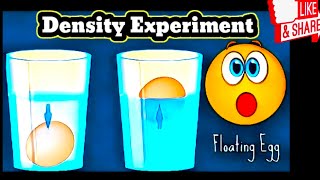 Water Salt Density Science Experiment Egg salt experiment Baloon Water Presure 🧪🧪🧪 [upl. by Ellehcit]