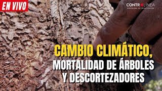 CONTRALÍNEA EN VIVO  Cambio climático mortalidad de árboles y descortezadores [upl. by Bartolomeo443]