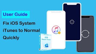 iOS Repair Tuner User Guide How to Fix iOS System or iTunes to Normal Quickly [upl. by Phoebe]