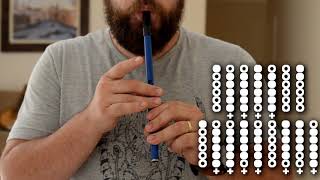 Tir Nan Og  Tuatha de Dannan  Tin Whistle Tutorial [upl. by Hnoj]