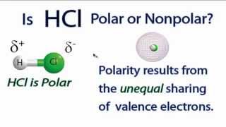 Is HCl Polar or Nonpolar [upl. by Kaia758]