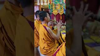 Palyul Urgen Dorje chholing Monastery 🙏☸️🌺🫶🥀 buddhistmonk rinpoche guru subscribemychannel [upl. by Daune]