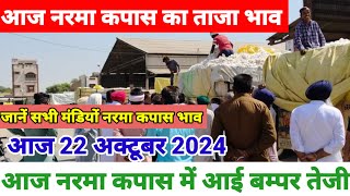 नरमा कपास के भाव 22 अक्टूबर 2024 नरमा कपास में आई बम्पर तेजी Narma kapas ka bhav cotton Prices [upl. by Cobb]