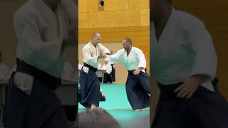 wwwaikikaisk  Slovak Aikido Association  Aikikai Slovakia [upl. by Clair]