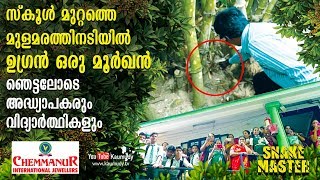 Shocked Teachers and Students see a Cobra in school  Vava Suresh  EP 402 [upl. by Remas108]