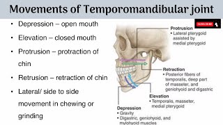 Movements of Temporomandibular Joint  Axes of Movements  Muscles producing the Movements with AA [upl. by Ecirtael932]