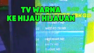 CARA MENGATASI TV WARNA HIJAU ‼️ [upl. by Levins919]