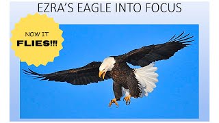 EZRAS EAGLE INTO FOCUS [upl. by Meli]