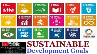 SDGs  United Nations  Sustainable Development Goals  Focus Points  Detailed Explanation [upl. by Eecak]