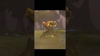 Sand King Turnaround [upl. by Girish178]