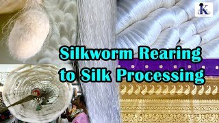 Silkworm rearing to silk processing [upl. by Atterg]