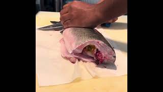 how to fillet sea bass branzino seabass food sushisashimi [upl. by Edals]