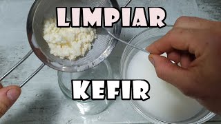 🍶CÓMO y CUÁNDO Limpiar Nódulos de KEFIR [upl. by Menis207]