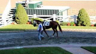 A moment at Suffolk Downs racetrack [upl. by Torbert]