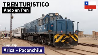 EL TREN TURÍSTICO DE ARICA en el norte de CHILE  Ando en Tren [upl. by Nilhtac]