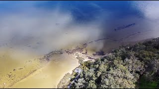 Oyster Harbour Fish Traps Mini documentary  National Science Week 2020 [upl. by Ennovaj]