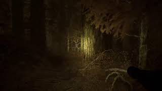 First Time Playing Blair Witch Is It Really Scary Paid Live Stream [upl. by Eimilb]