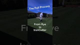 Lawn Change  The Full Process Rye to IronCutter [upl. by Blackmore]