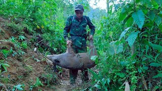 FULL VIDEO200 days wild boar attacks people survive alone skills boar traps survival instincts [upl. by Notlrahc]