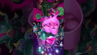 Greta’s Garden ASMR gremlins2 asmr greta woodsoup puppetry littleshopofhorrors [upl. by Lizzy]