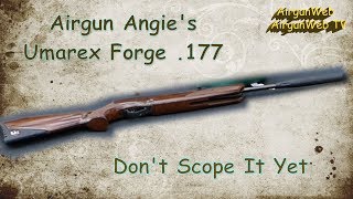 Airgun Angie’s Umarex Forge 177 Don’t Scope It Yet [upl. by Lihkin]