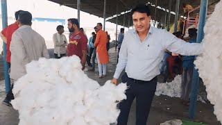 4 April 2024  कुक्षी कपास मंडी का भाव देखो  kukshi Mandi Cotton Rate  Kapas ka Bhav [upl. by Ham]