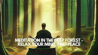 Meditation In The Deep Forest  Relax Your Mind Find Peace [upl. by Annerb]