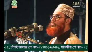 Delwar Hossain Sayeedi Allah Siristir Bishalota [upl. by Iaj177]