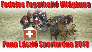 Fedeles Fogathajtó Világkupa 20181202 [upl. by Ynohtnaleahcim743]