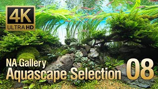 ADAview 4K NA Gallery Aquascape Selection vol8 ネイチャーアクアリウムギャラリー 水景セレクション8 [upl. by Reynold641]