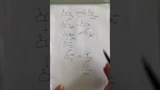 Organic Reaction  Acid Catalyzed Hydrolysis of Lactone  Cyclic Ester  BSc  JEE  MSc [upl. by Annohsed]