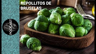 MITOS Y VERDADES SOBRE LOS REPOLLITOS DE BRUSELAS [upl. by Dnaleel341]