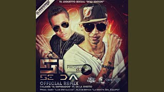 Si Se da Remix feat De la Ghetto [upl. by Lleoj]