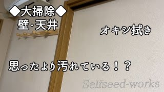 【年末大掃除】壁紙をオキシ拭き。雑巾とブラシを使って挑んだら、閲覧注意な結果に [upl. by Lyndsay715]